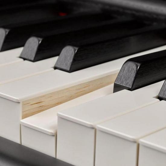 Somos Importador e distribuidor de Piano Digital P515B Preto YAMAHA